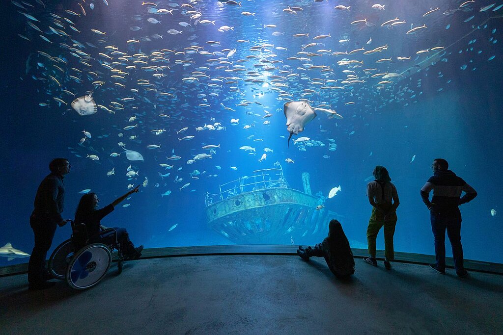 Mehrere Personen stehen in einem riesigen Aquarium, hinter der Scheibe schwimmen viele Fische.