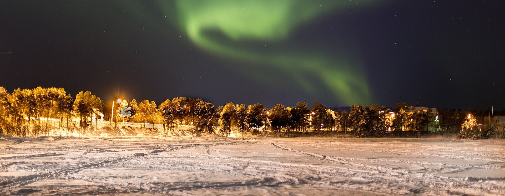 Polarlichter am Nachthimmel über einer angeleuchteten Baumreihe. Auf dem Boden Schnee