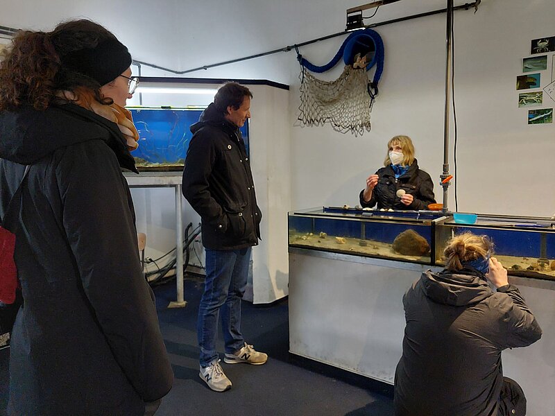 Eine Mitarbeiterin der Meeresbiologischen Station steht hinter Schau-Aquarien und erklärt den umstehenden Menschen etwas.